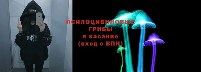 метадон Армянск