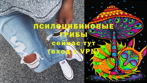 каннабис Арсеньев