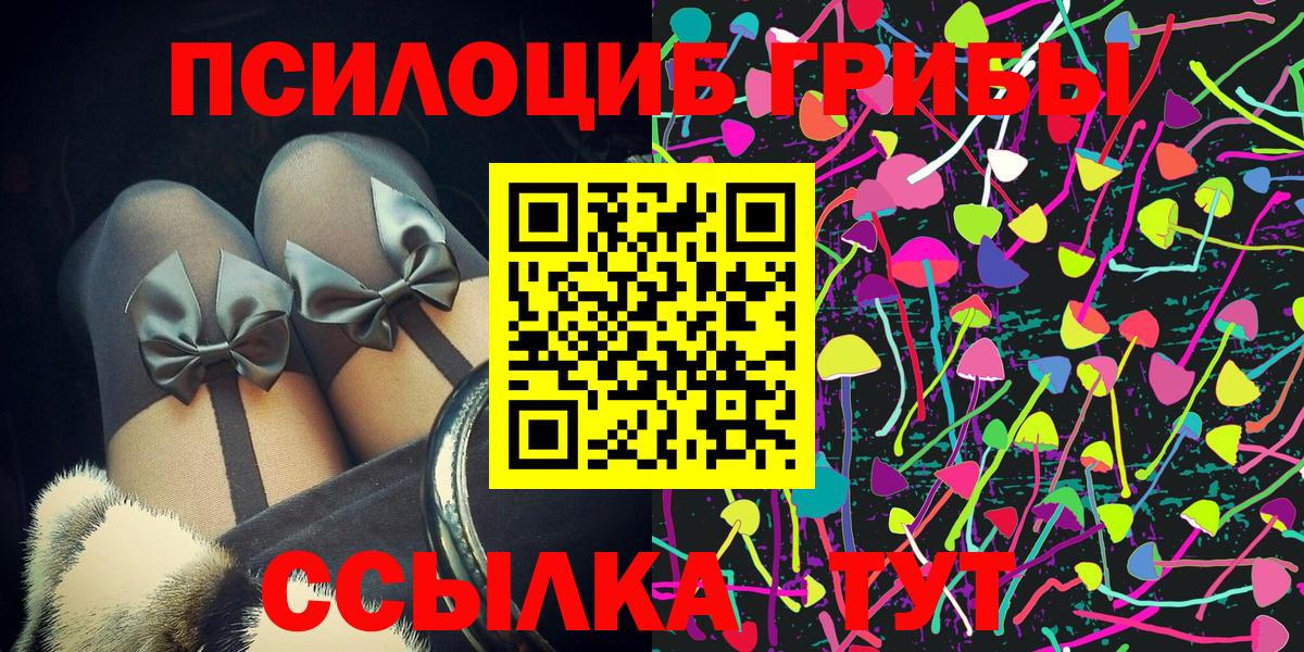 Тихвин  Псилоцибиновые грибы Psilocybine cubensis  Вход с VPN 
