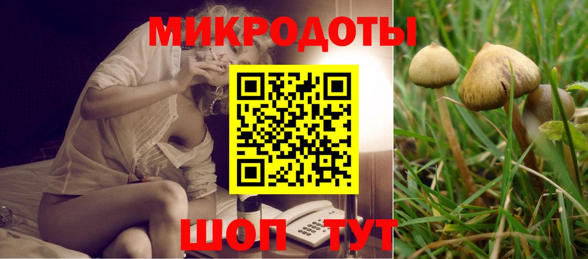 Галлюциногенные грибы прущие грибы Тихвин
