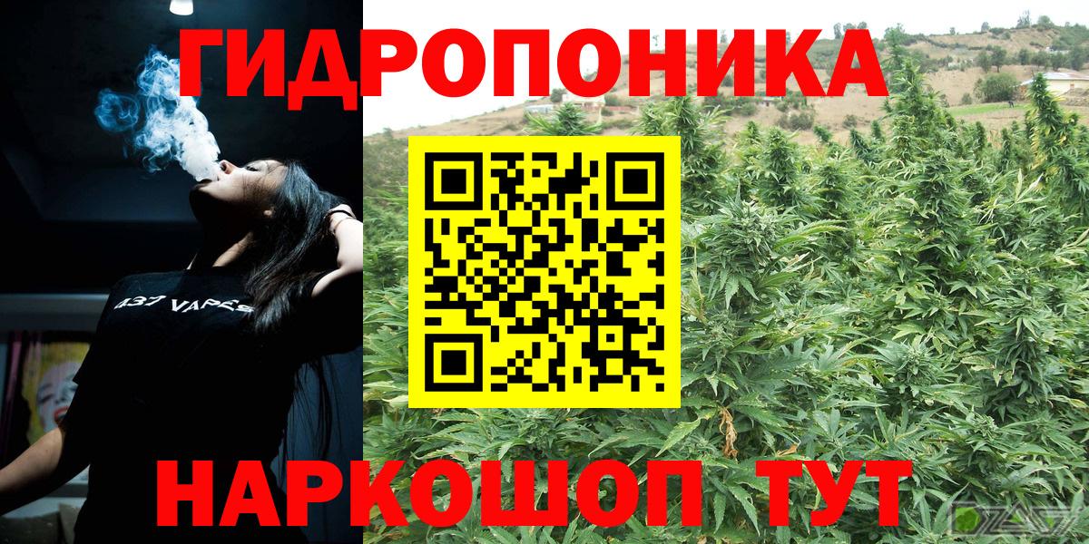 Бошки Шишки White Widow  МАРИХУАНА планчик  Канабис Ganja  Тихвин  Вход с VPN  Шишки марихуана THC 21% 